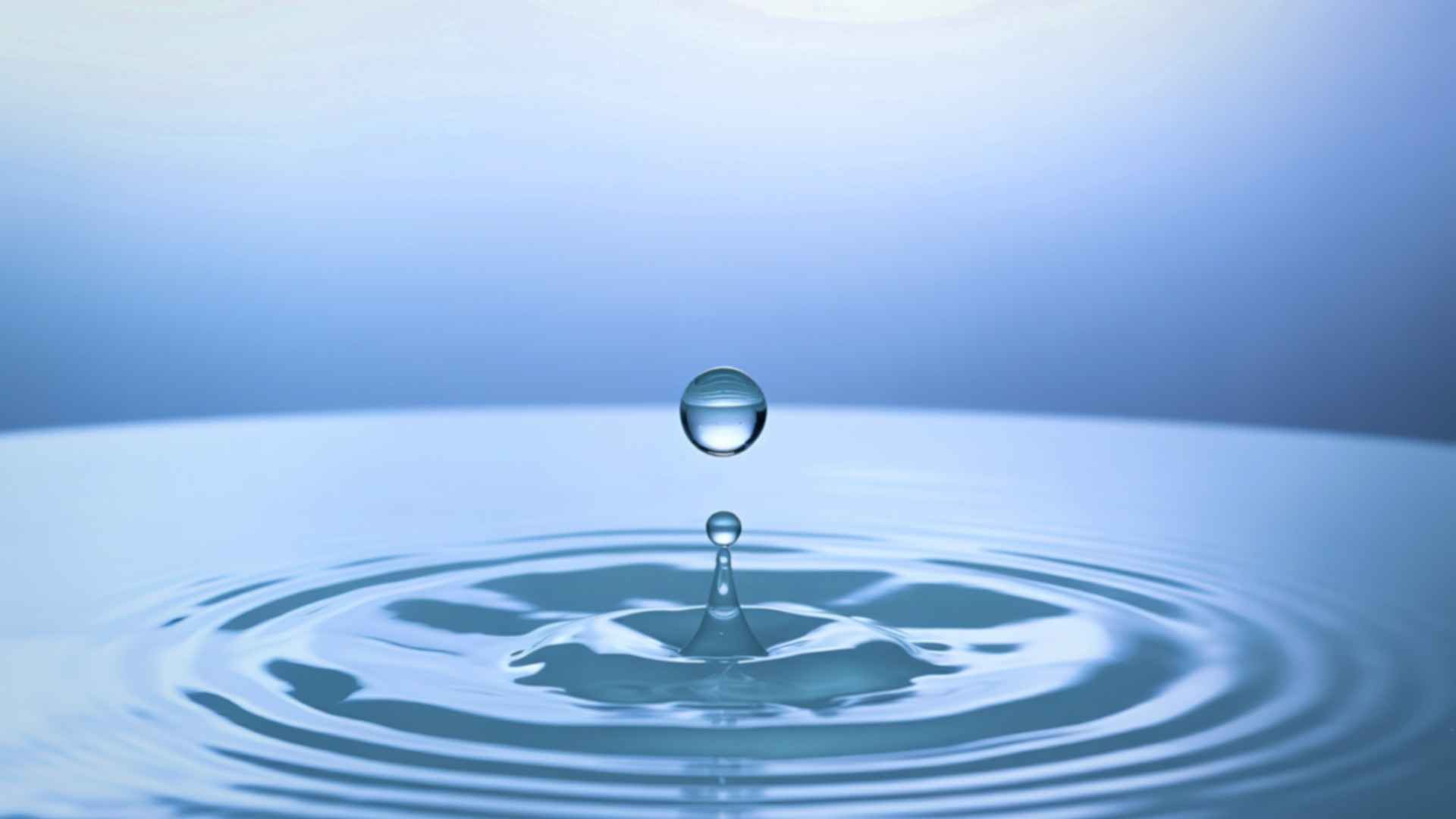 לימודי השפעה חברתית